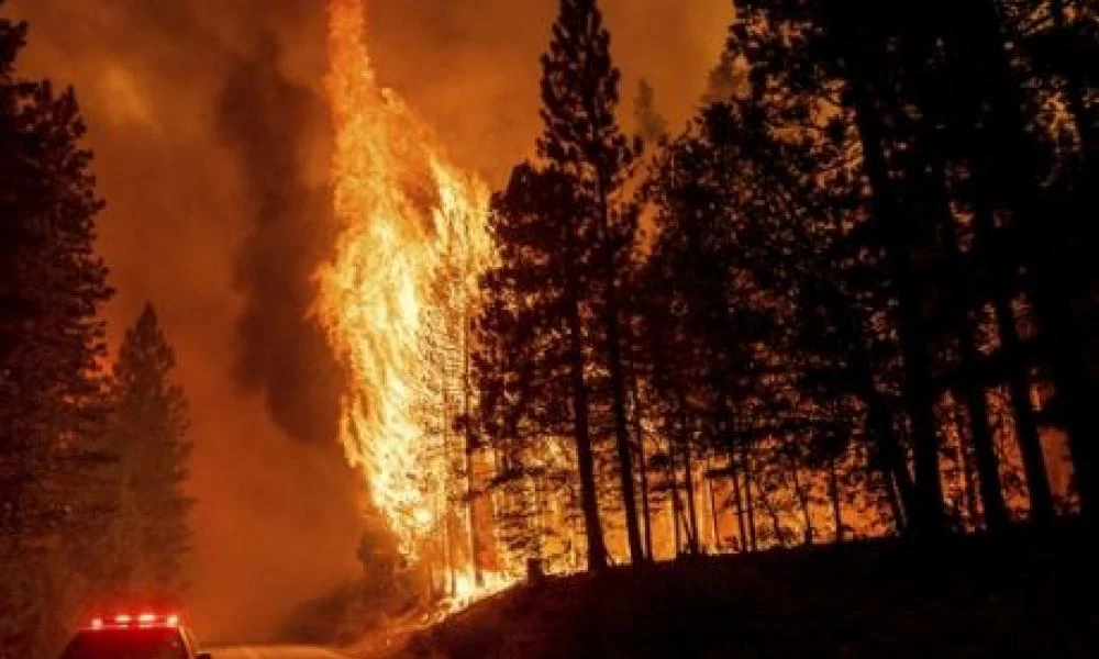 Δικηγόροι: Άνοιξαν λογαριασμό για την αντιμετώπιση των πυρκαγιών